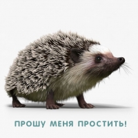 Прошу меня простить!