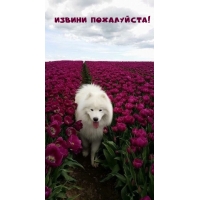  !
