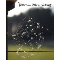 Прости, очень прошу
