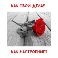   ?  ?