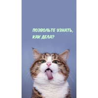  ,  ?