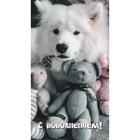 С пополнением!
