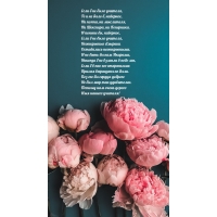     ,       ,  