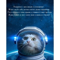   ,  ,  