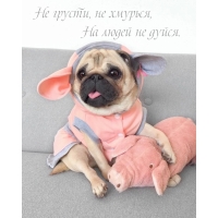  ,  ,    .