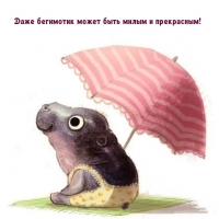       !