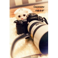  --!