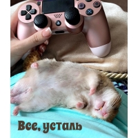 , 