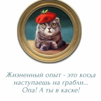   -   ... !    !