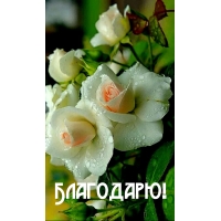Благодарю!