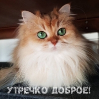  !