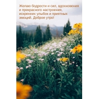  ,   