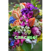 Спасибо!