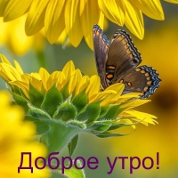 Доброе утро!