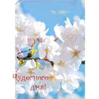 Чудесного дня!