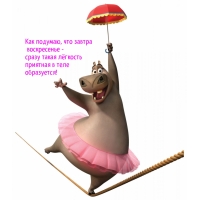  ,    -    