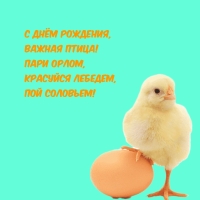   ,  !  ,  