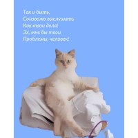   ,     ! 