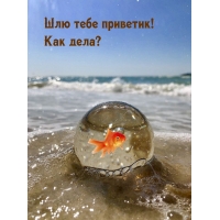   !  ?