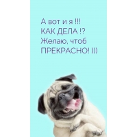    !  !? ,  ! )))