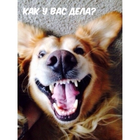 Как у вас дела?