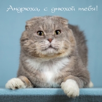 Андрюха, с днюхой тебя!