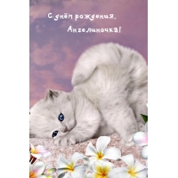   , !