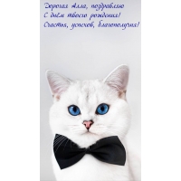  ,     !