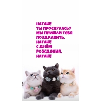 !  ?    , ! 