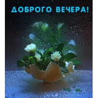  !