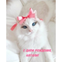   , !