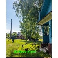Доброе утро!