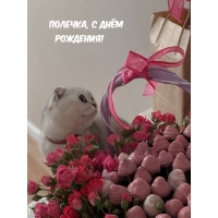 ,   !