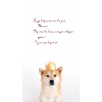    , !     !