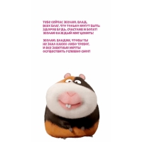   , ,  ,    