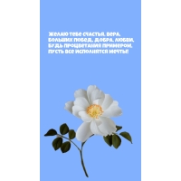   , ,  , , 