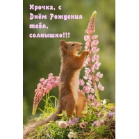 ,    , !