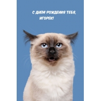    , !