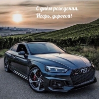 С днём рождения, Игорь, дорогой!