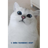   , !