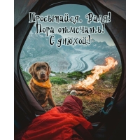 , !  !  !