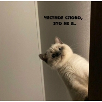  ,   ..