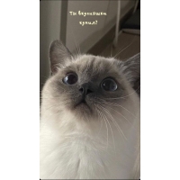   ?