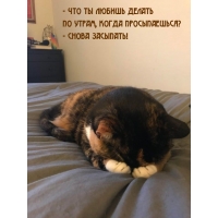 -      ,  ?