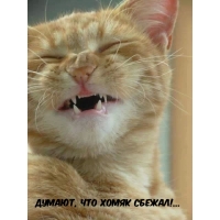 ,   !...