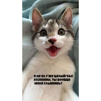      ! ,    ?