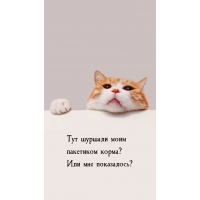     ?   ?