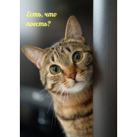 ,  ?