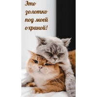     !