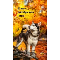   !